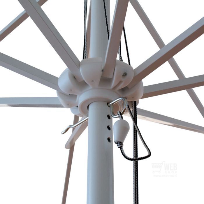 parasol