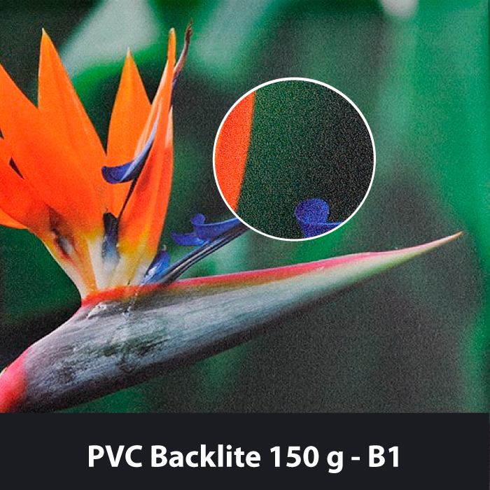 PVC Backlit 150 g
